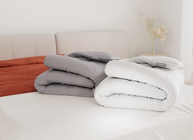 All Season Comforters