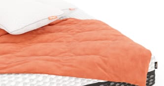 Mattress with 2 free pillow set