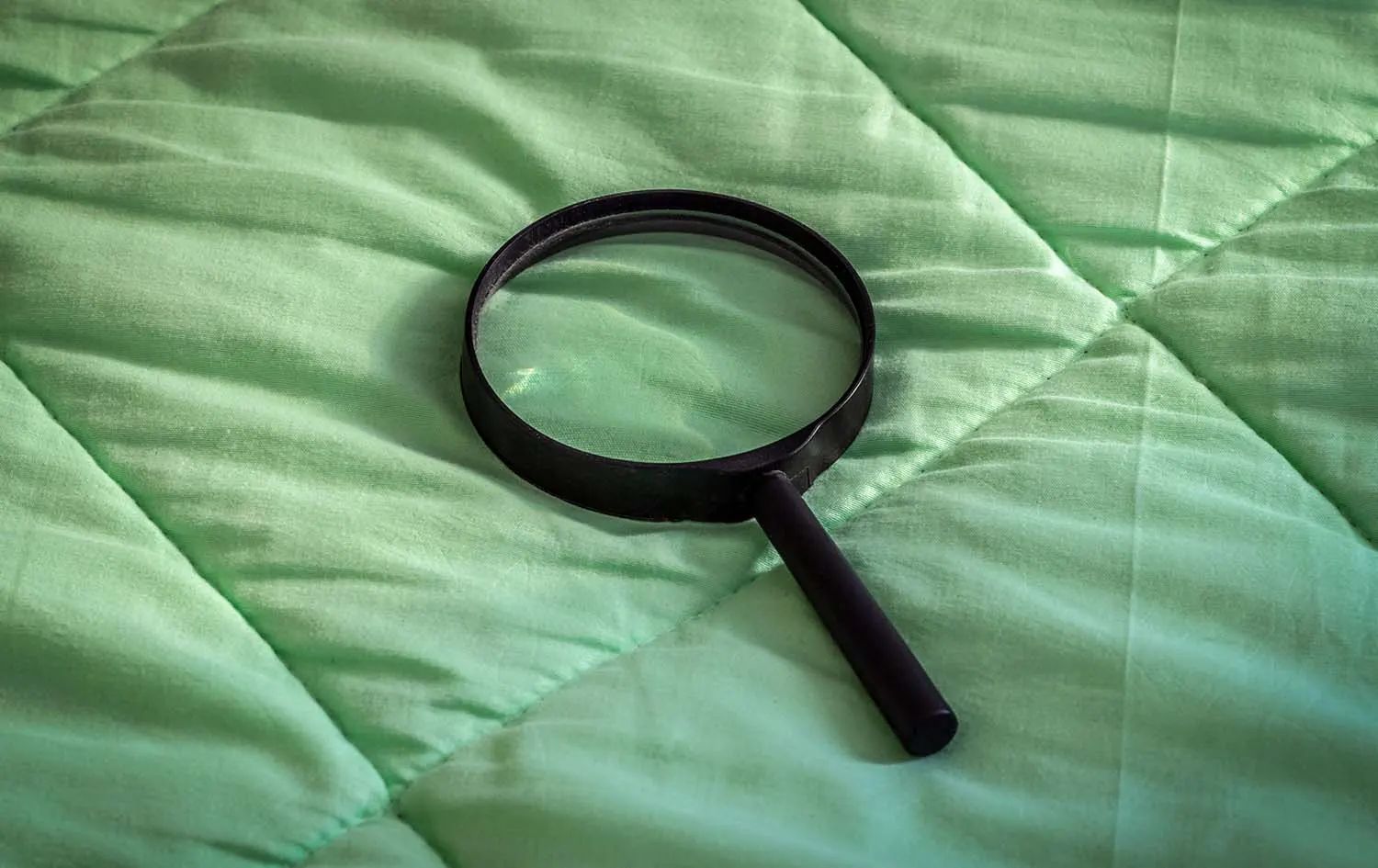 How to Check for Bed Bugs: A Step-by-Step Home Inspection Guide