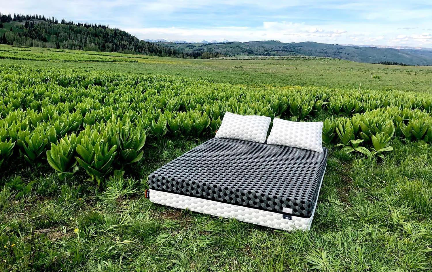 Do You Need a Bed Frame?