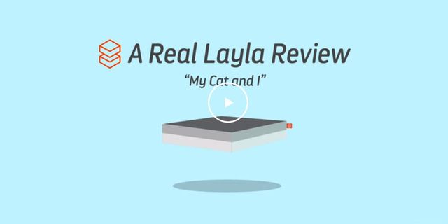 Real Reviews - My Cat and I