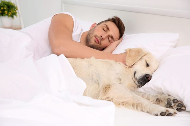 Is Your Dog Sleeping in Bed Good for You? Pros and Cons