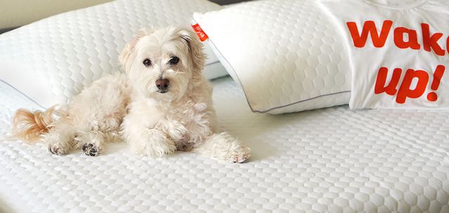 How to Prevent Nighttime Allergies: Causes and Relief Tips