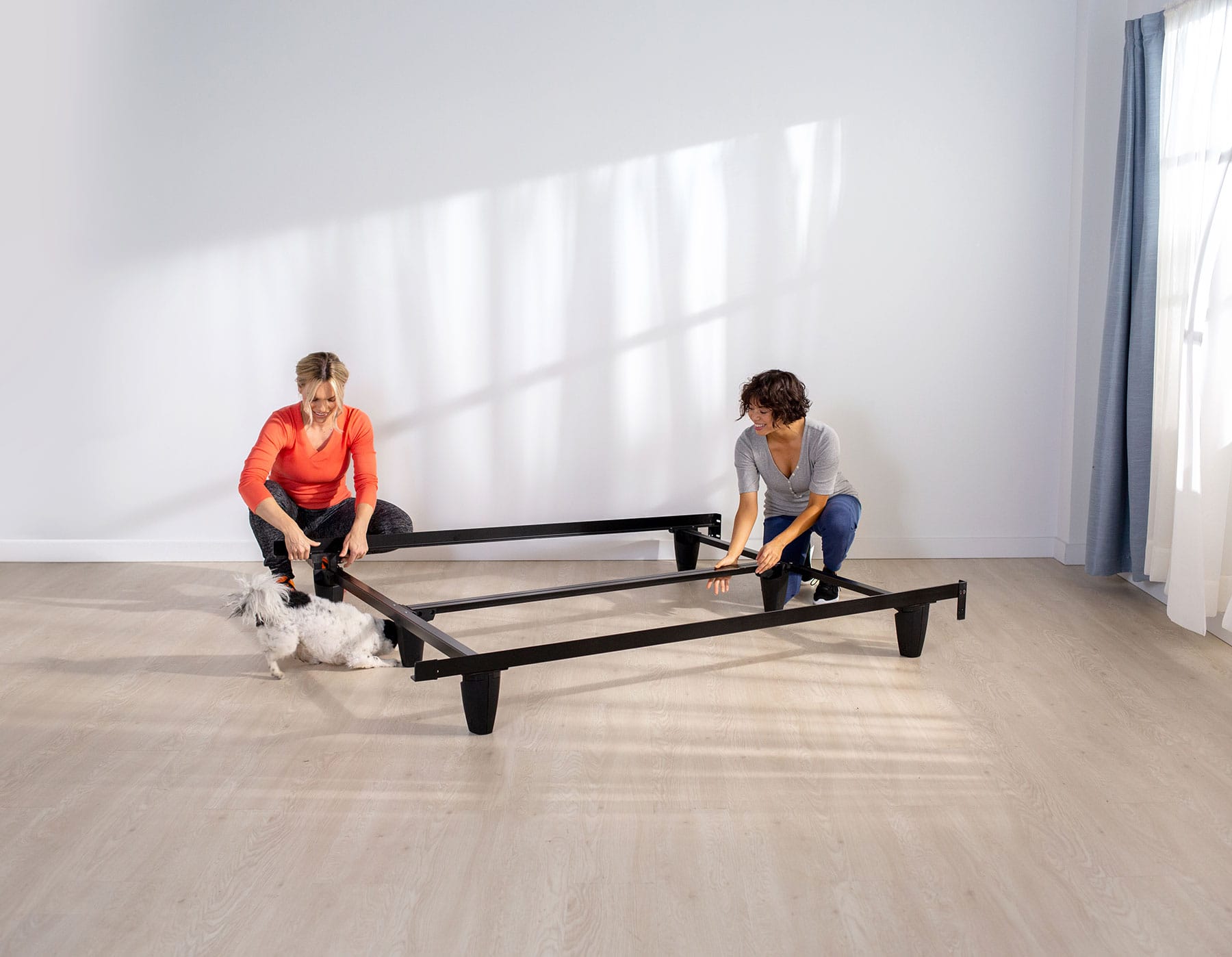 Two woman putting together the Bed Frame with a dog in the room