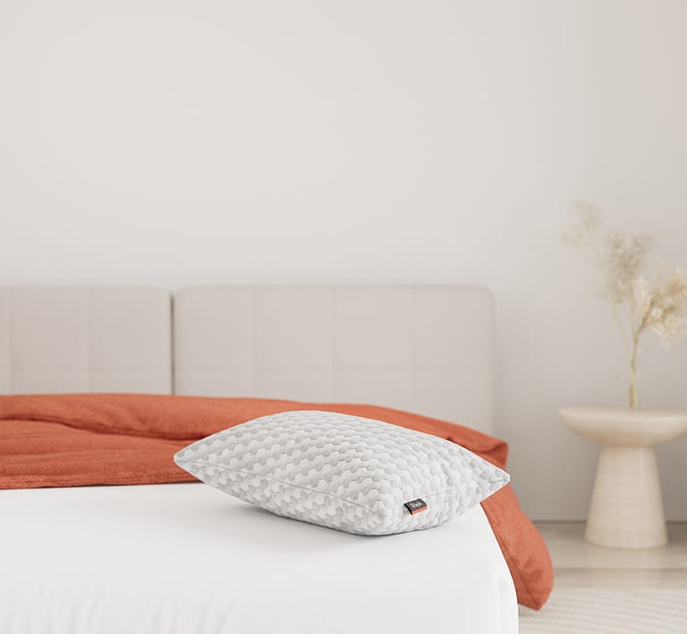 Kapok Pillow