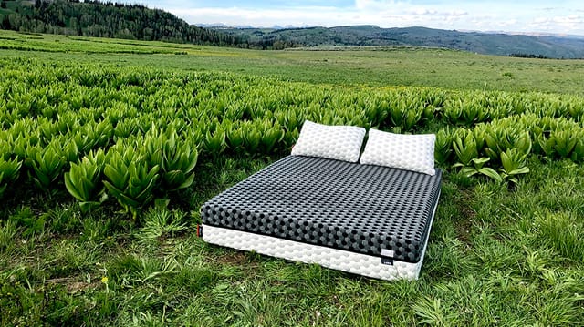 Do You Need a Bed Frame?